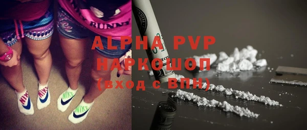индика Белоозёрский
