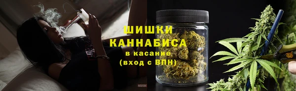 индика Белоозёрский