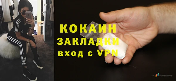 PSILOCYBIN Белокуриха