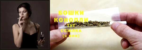 индика Белоозёрский