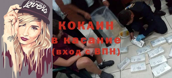 PSILOCYBIN Белокуриха