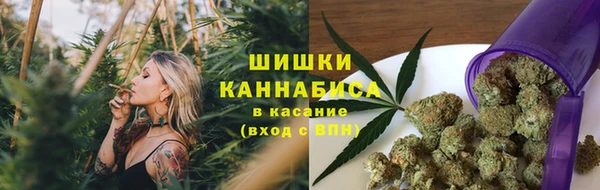 индика Белоозёрский